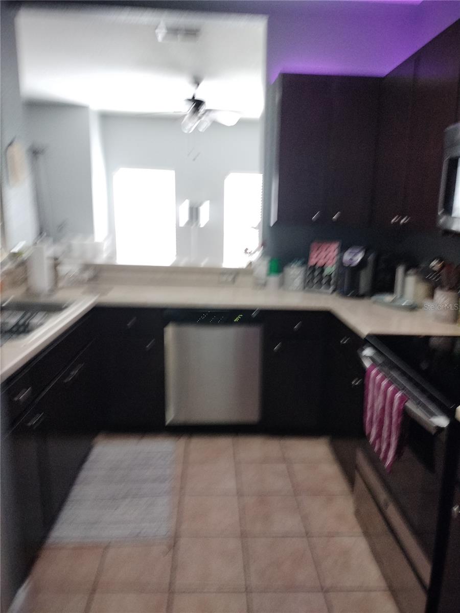 8003 BALLY MONEY RD, TAMPA, FL, 33610