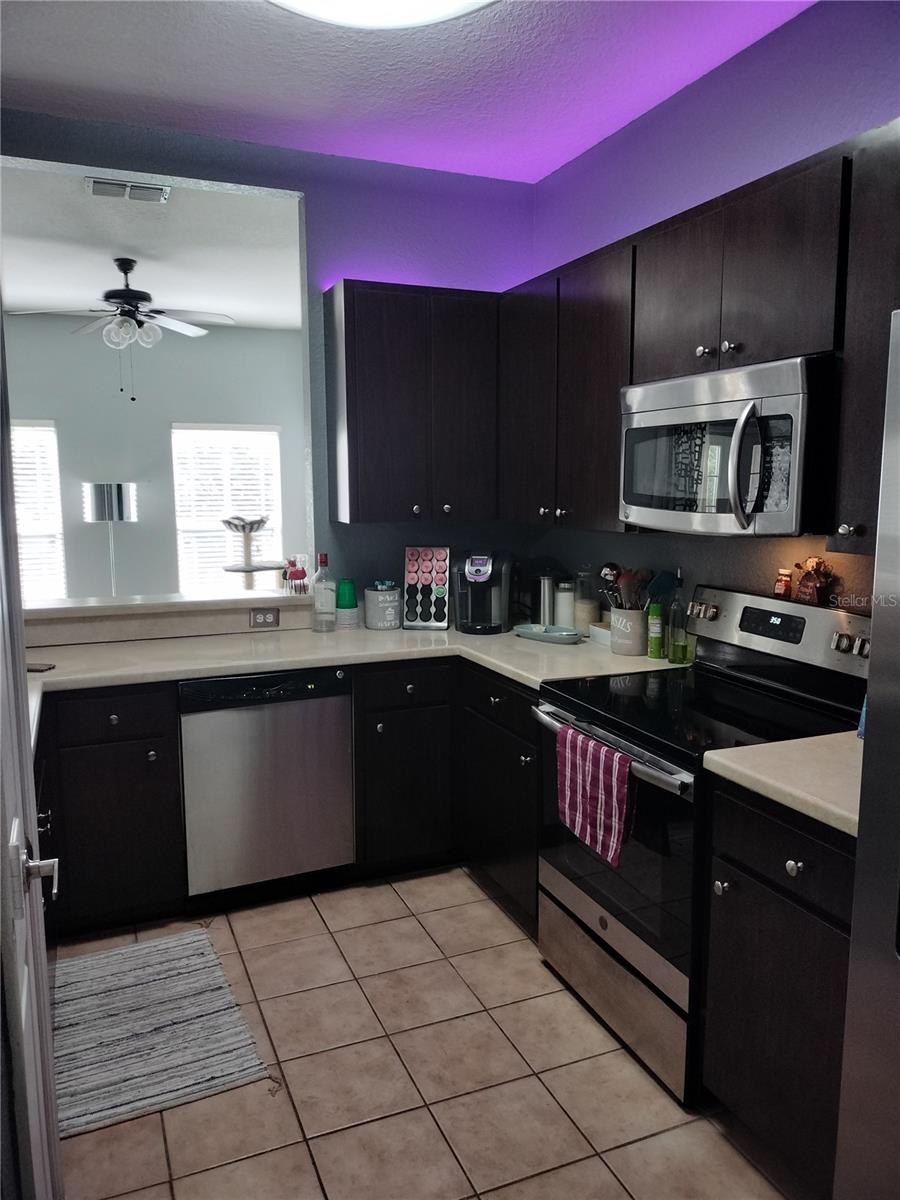 8003 BALLY MONEY RD, TAMPA, FL, 33610