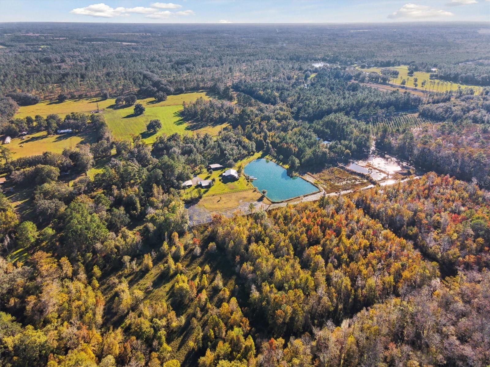 19935 SW COUNTY ROAD 237, BROOKER, FL, 32622