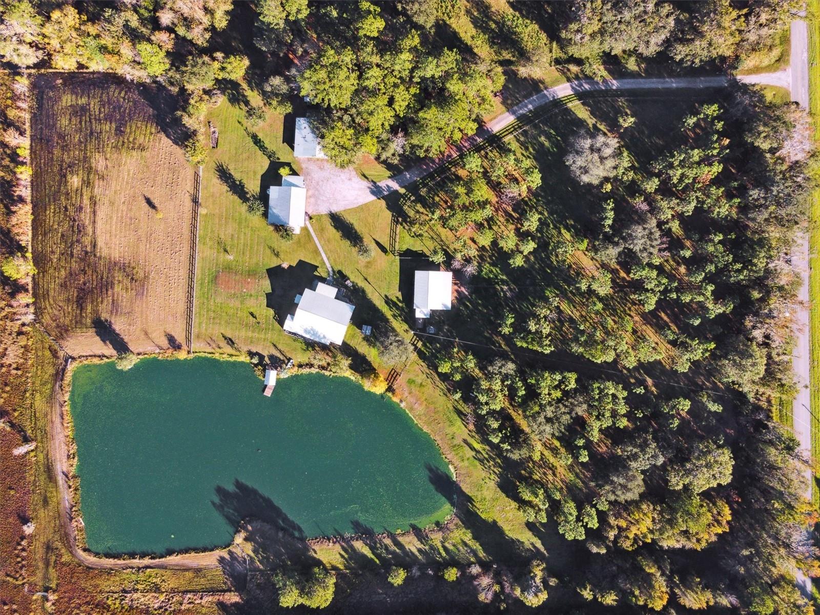 19935 SW COUNTY ROAD 237, BROOKER, FL, 32622