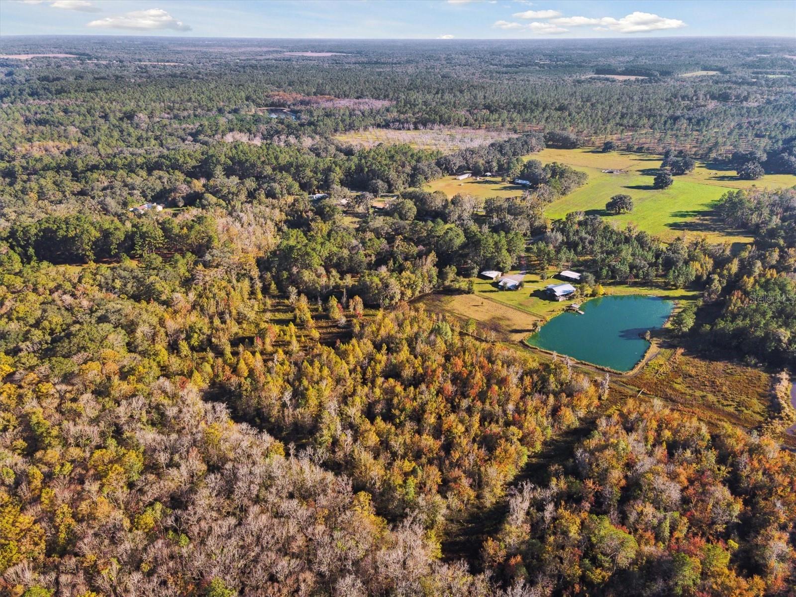 19935 SW COUNTY ROAD 237, BROOKER, FL, 32622