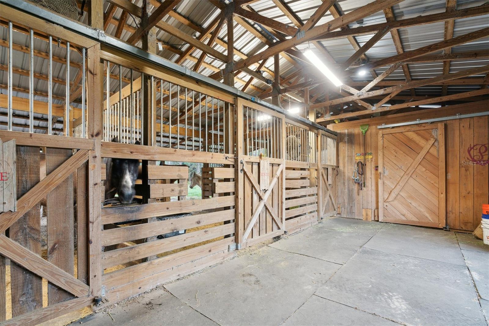 19935 SW COUNTY ROAD 237, BROOKER, FL, 32622