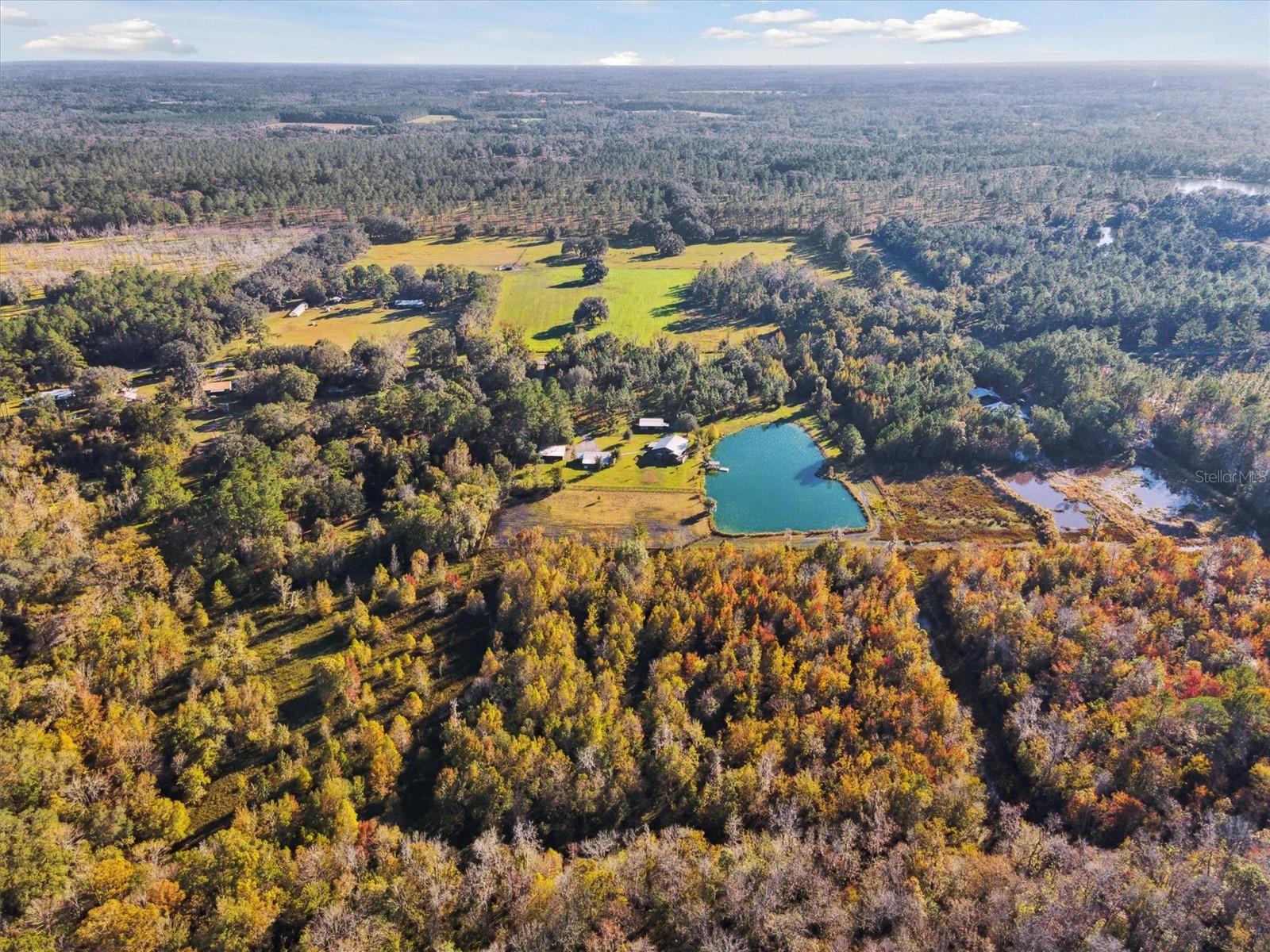19935 SW COUNTY ROAD 237, BROOKER, FL, 32622