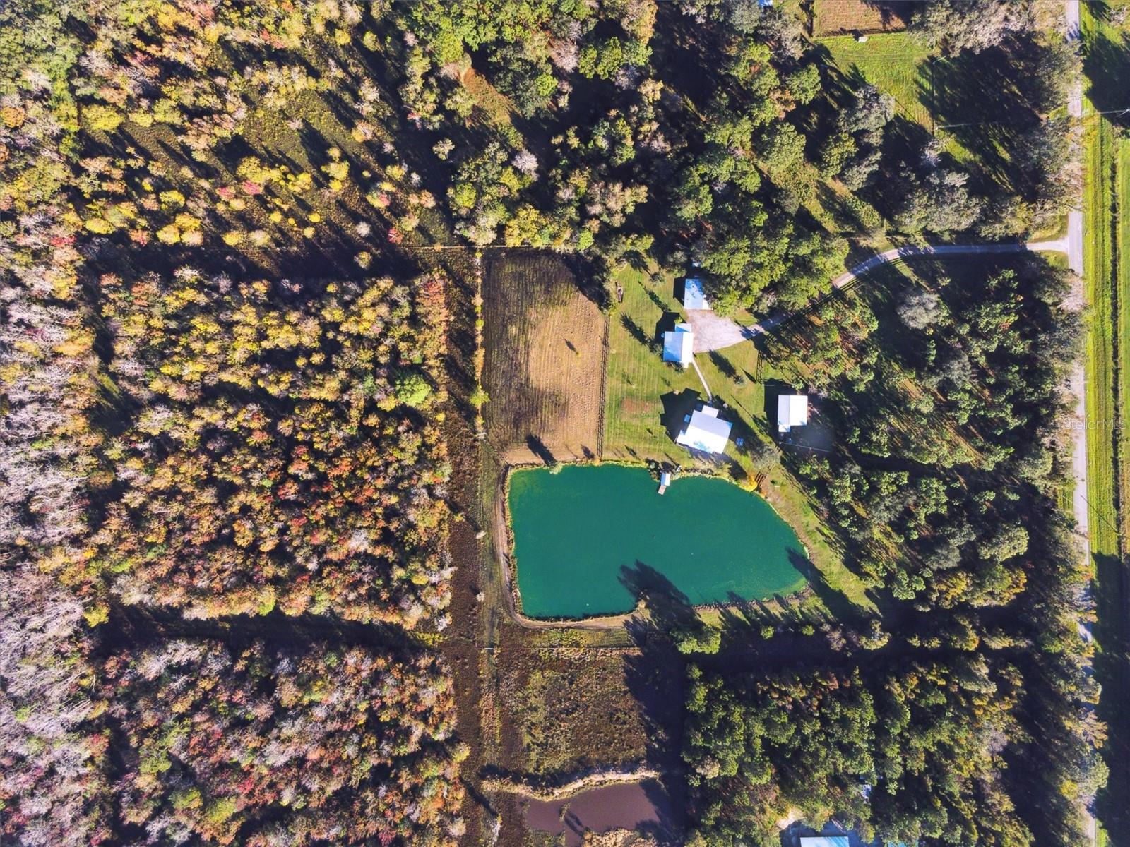 19935 SW COUNTY ROAD 237, BROOKER, FL, 32622