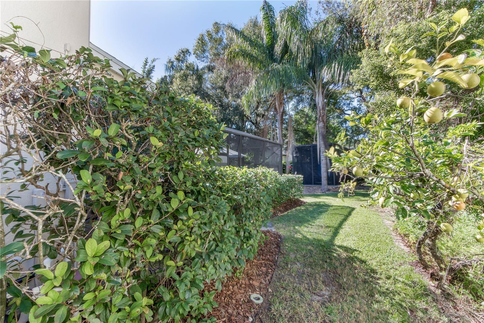 723 LONG LAKE DR, OVIEDO, FL, 32765