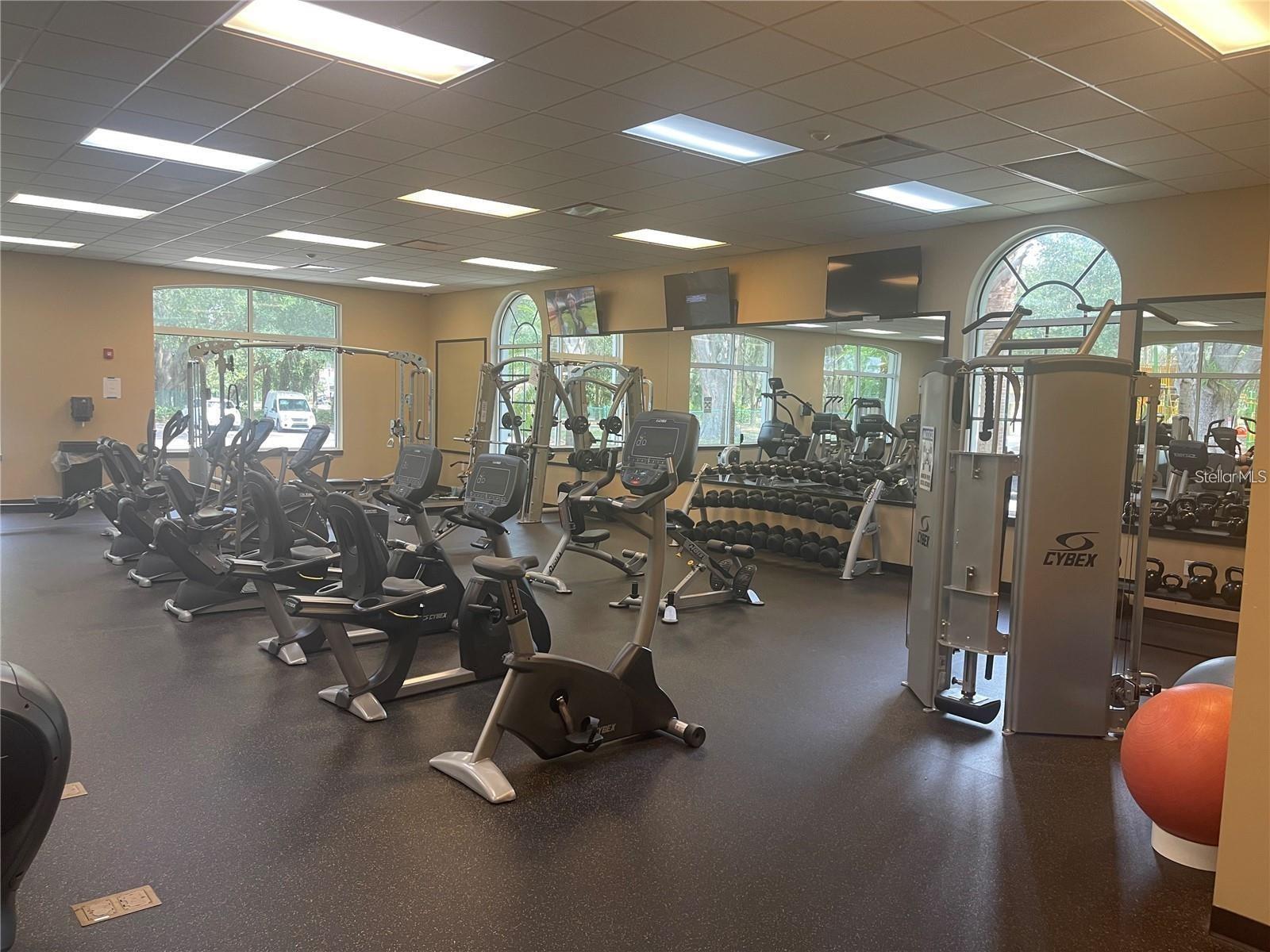 10542 CORAL KEY AVE, TAMPA, FL, 33647