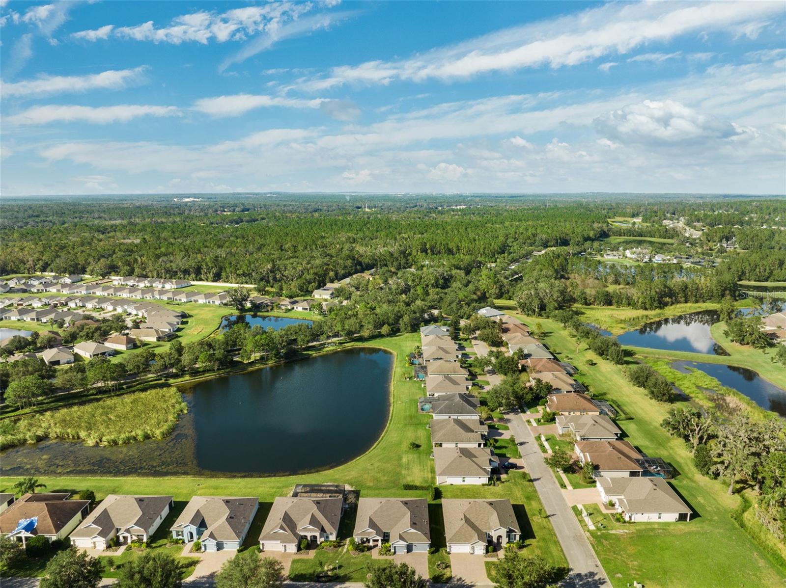 19907 TATTNALL WAY, BROOKSVILLE, FL, 34601