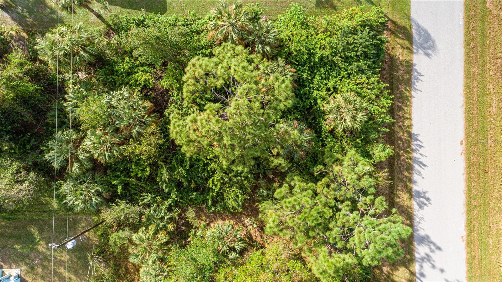 26199 EAGER RD, PUNTA GORDA, FL, 33955