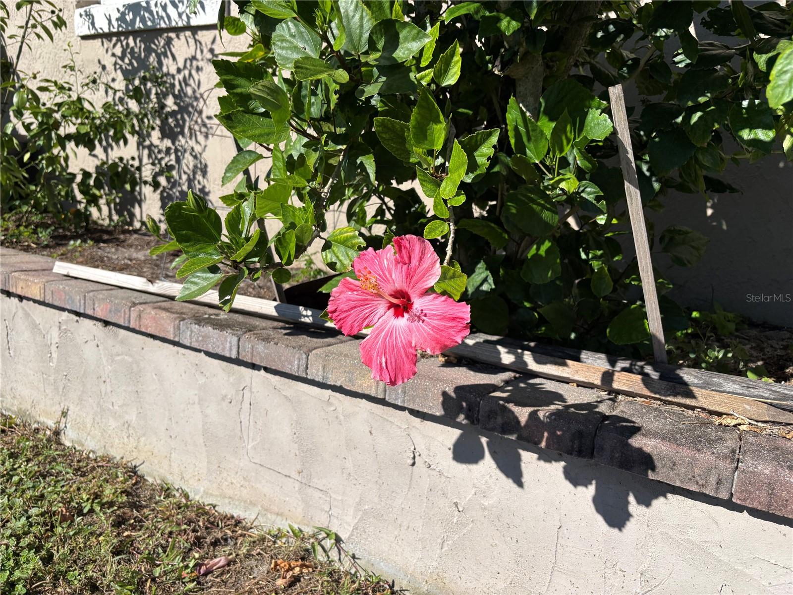 2491 CANDLEWICK ST, DELTONA, FL, 32738