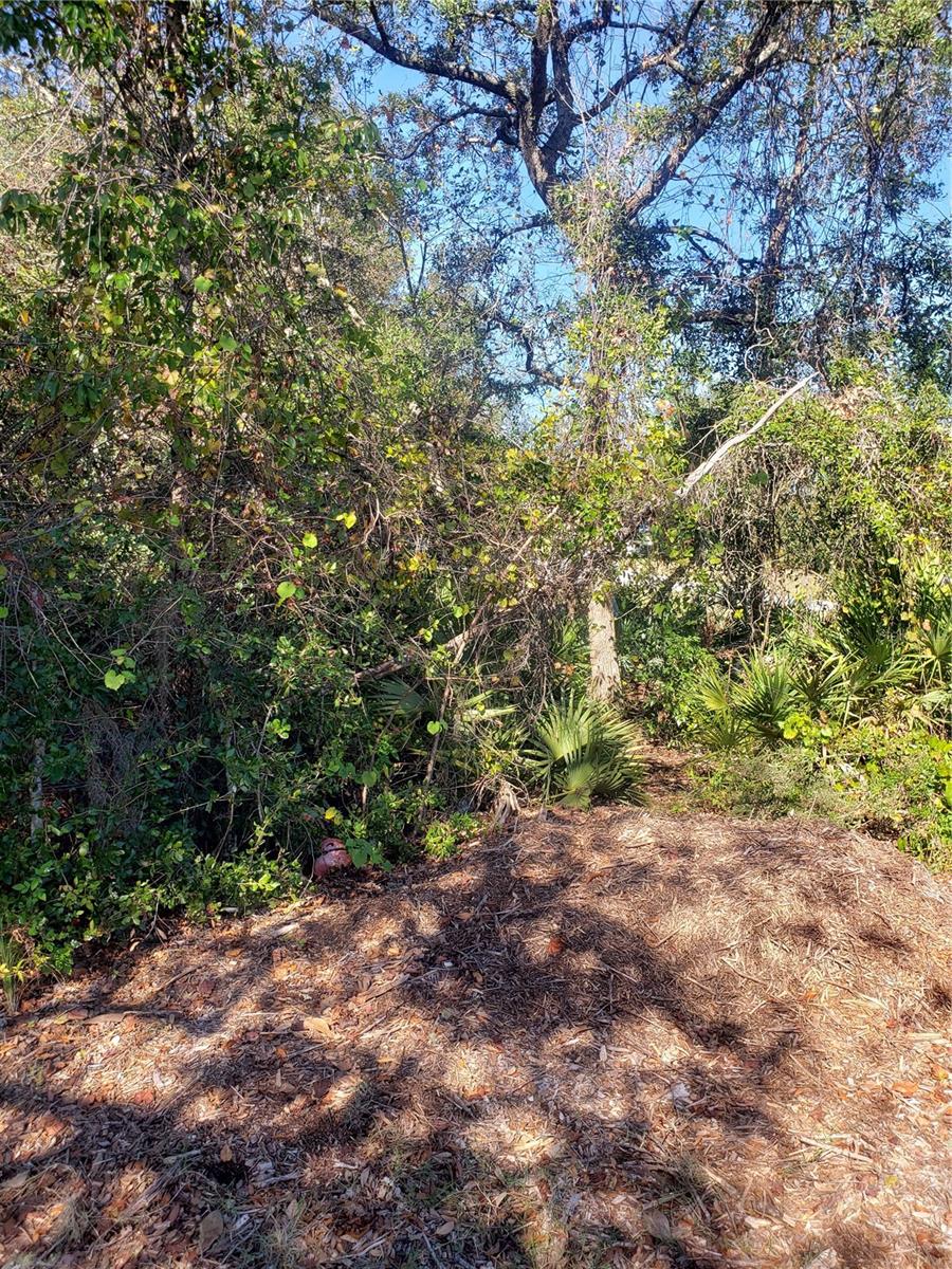 CHESTNUT AVE, ORANGE CITY, FL, 32763