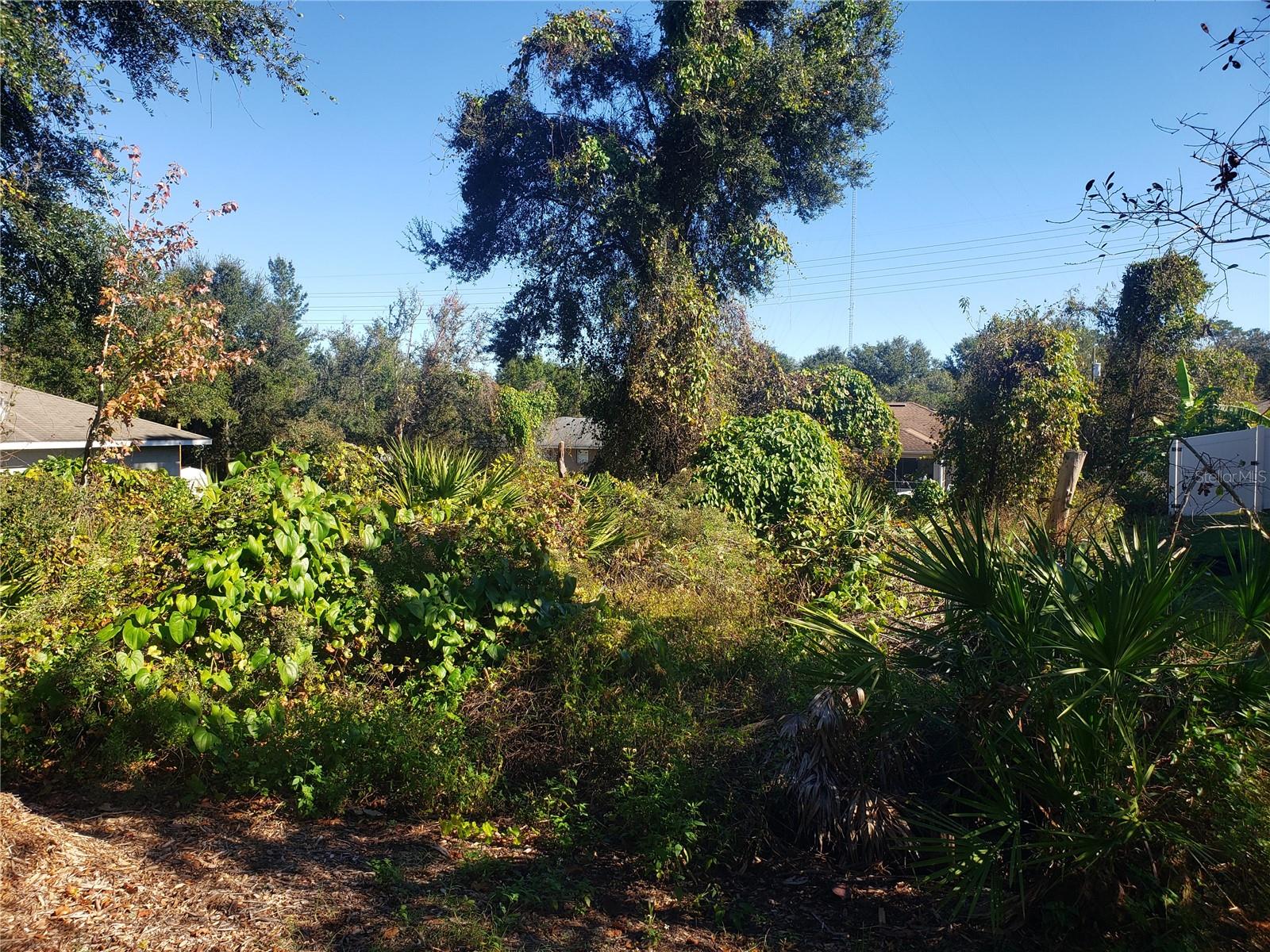 CHESTNUT AVE, ORANGE CITY, FL, 32763