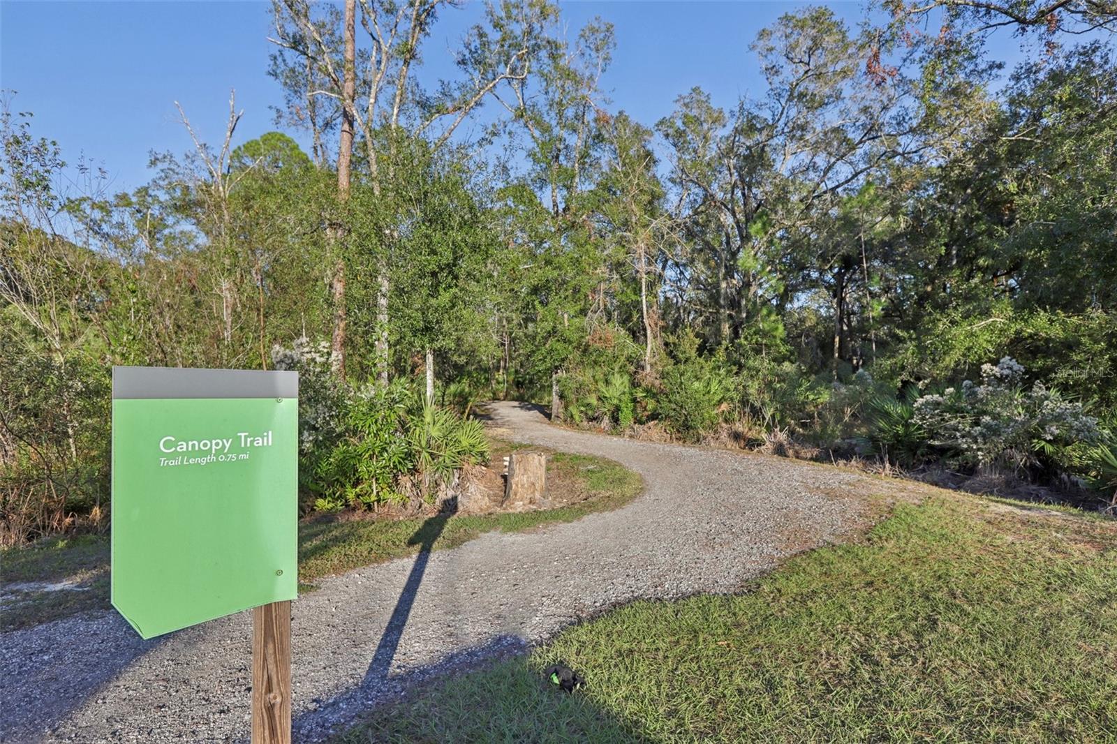 18172 RAMBLE ON WAY, LAND O LAKES, FL, 34638