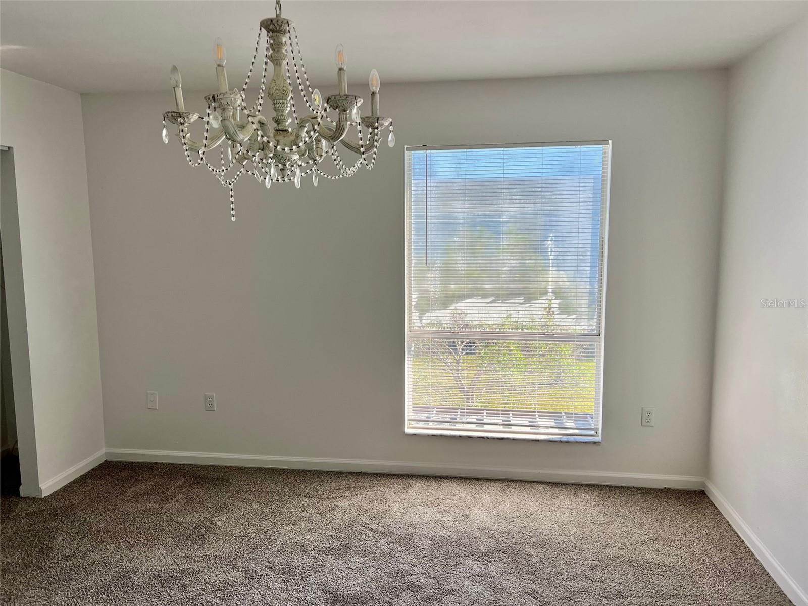 11909 CYPRESS HILL CIR, TAMPA, FL, 33626