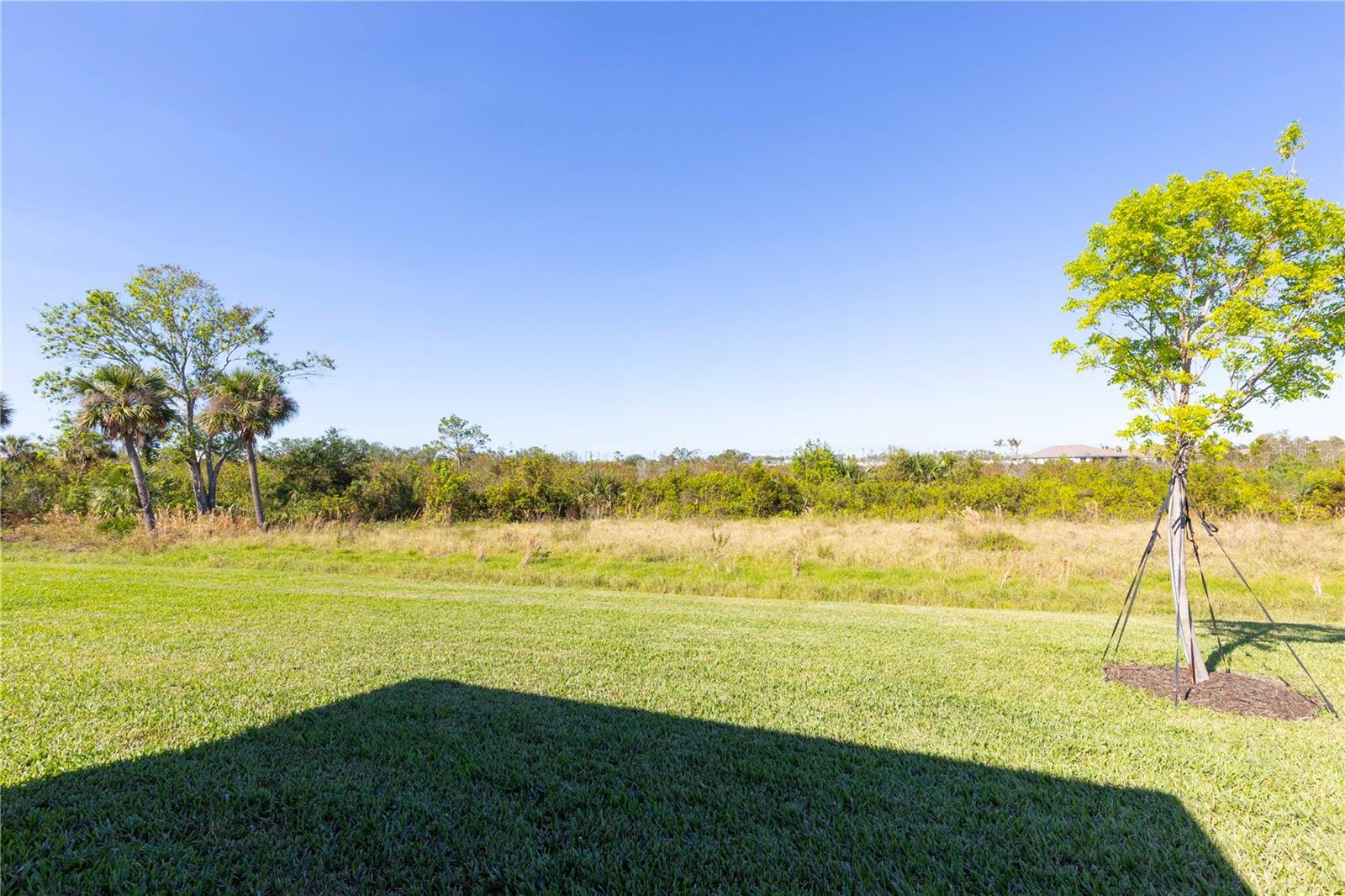 17977 GRAND PROSPERITY DR, VENICE, FL, 34293