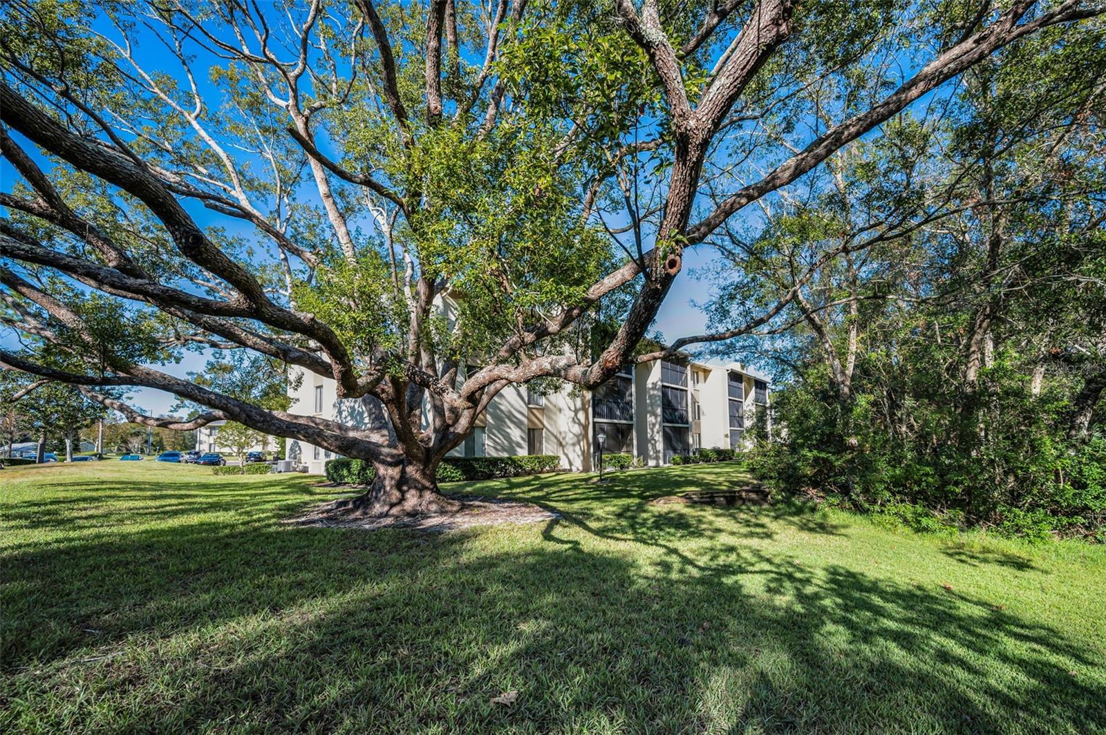 3210 LAKE PINE WAY E #F3, TARPON SPRINGS, FL, 34688
