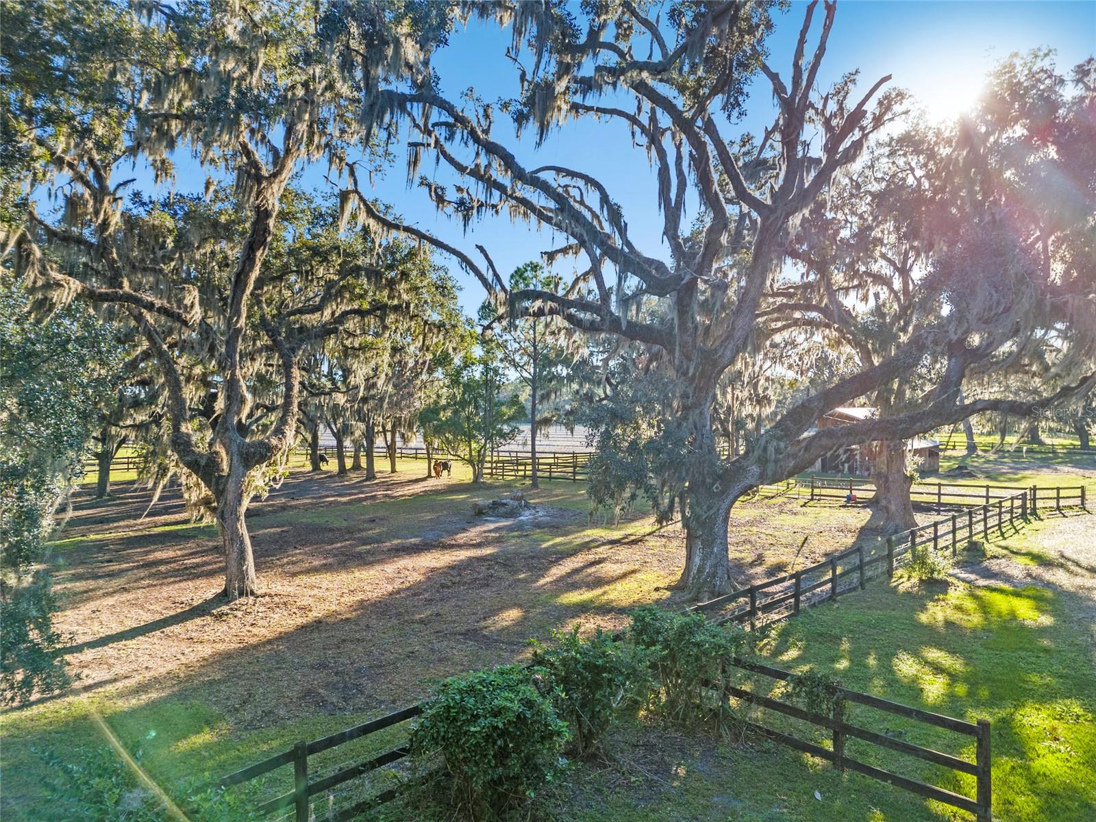 135 FEDERAL POINT RD, EAST PALATKA, FL, 32131