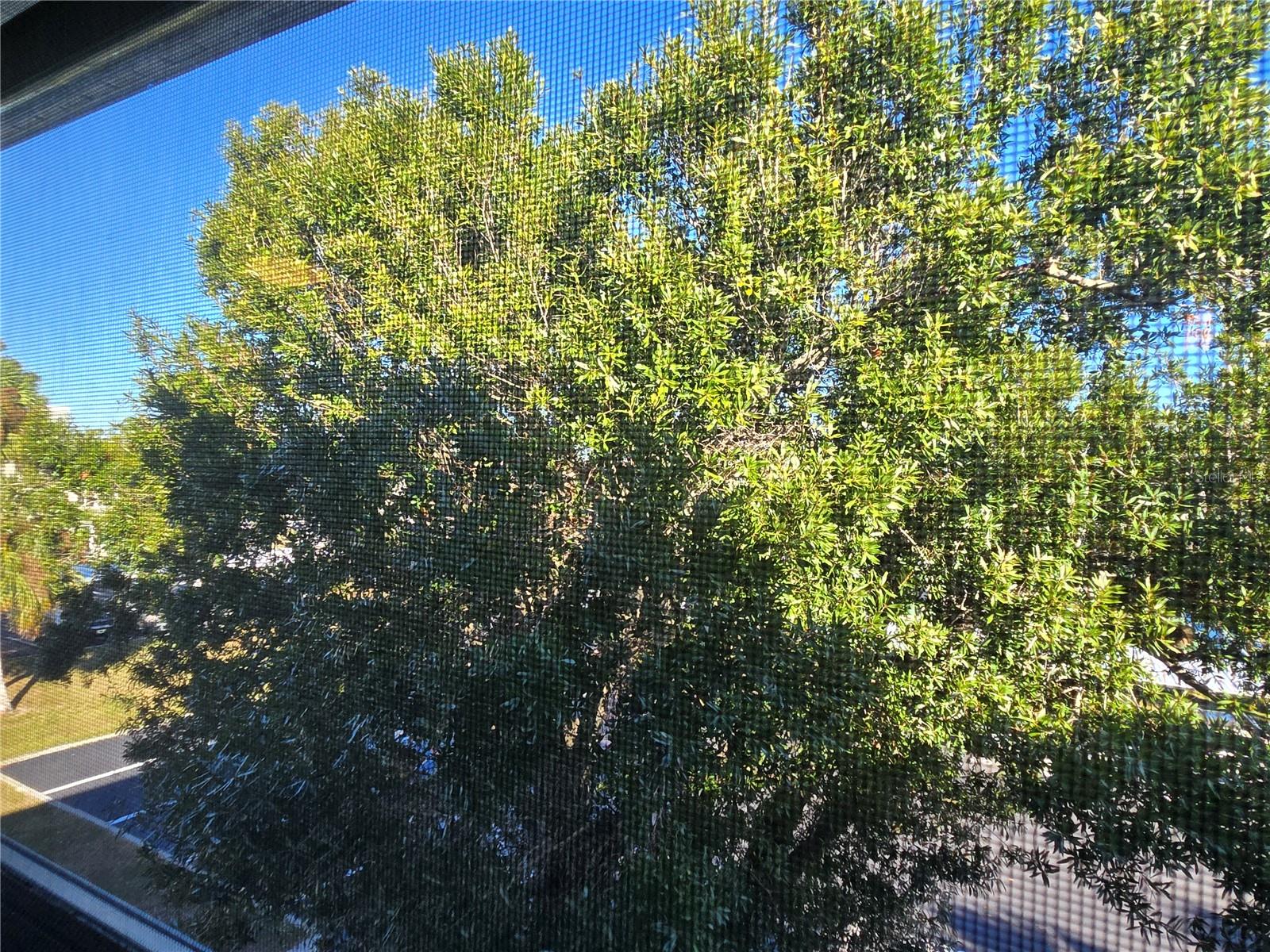 21260 BRINSON AVE #307, PORT CHARLOTTE, FL, 33952