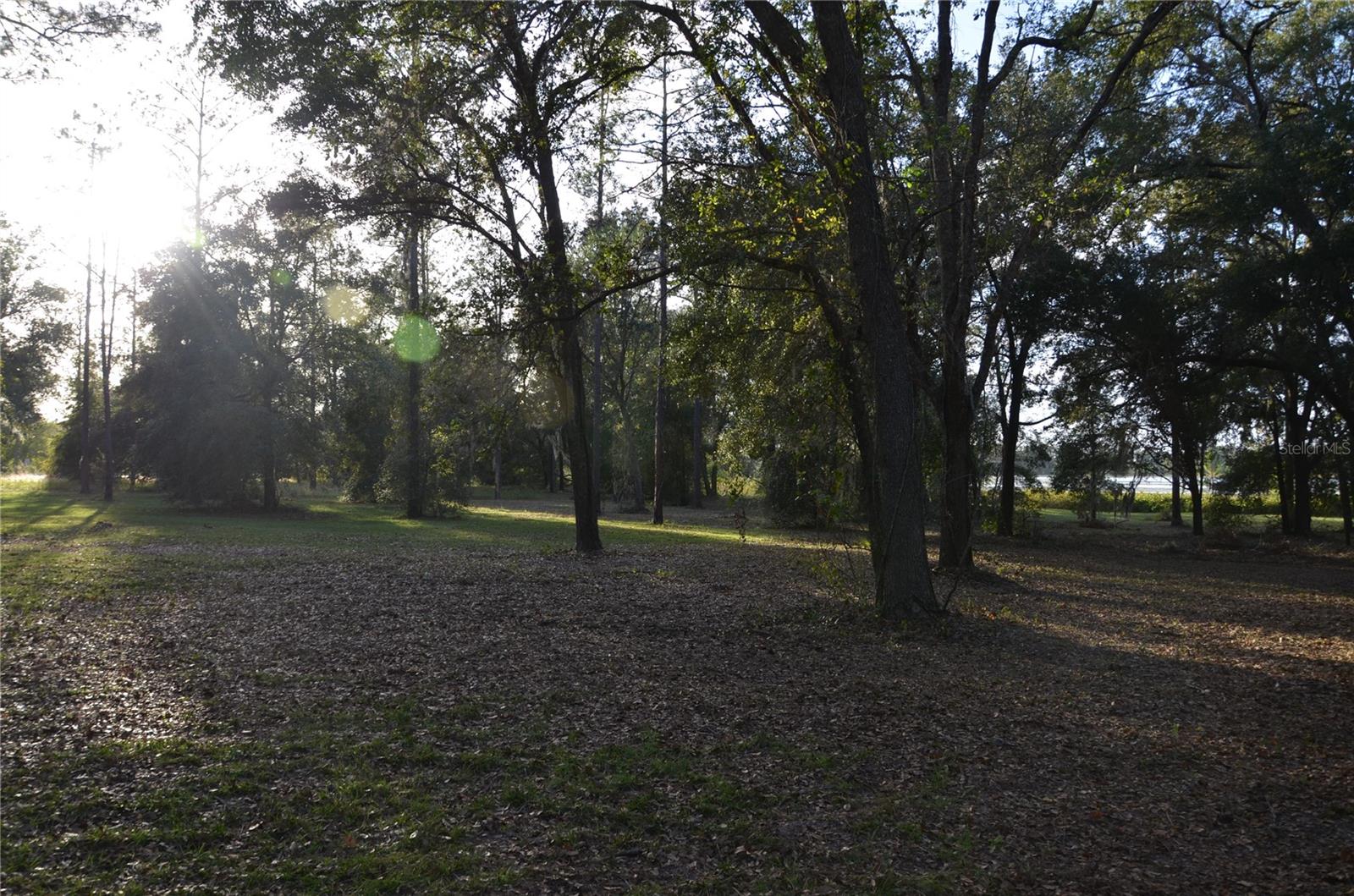 BONSMARA DR, LEESBURG, FL, 34748