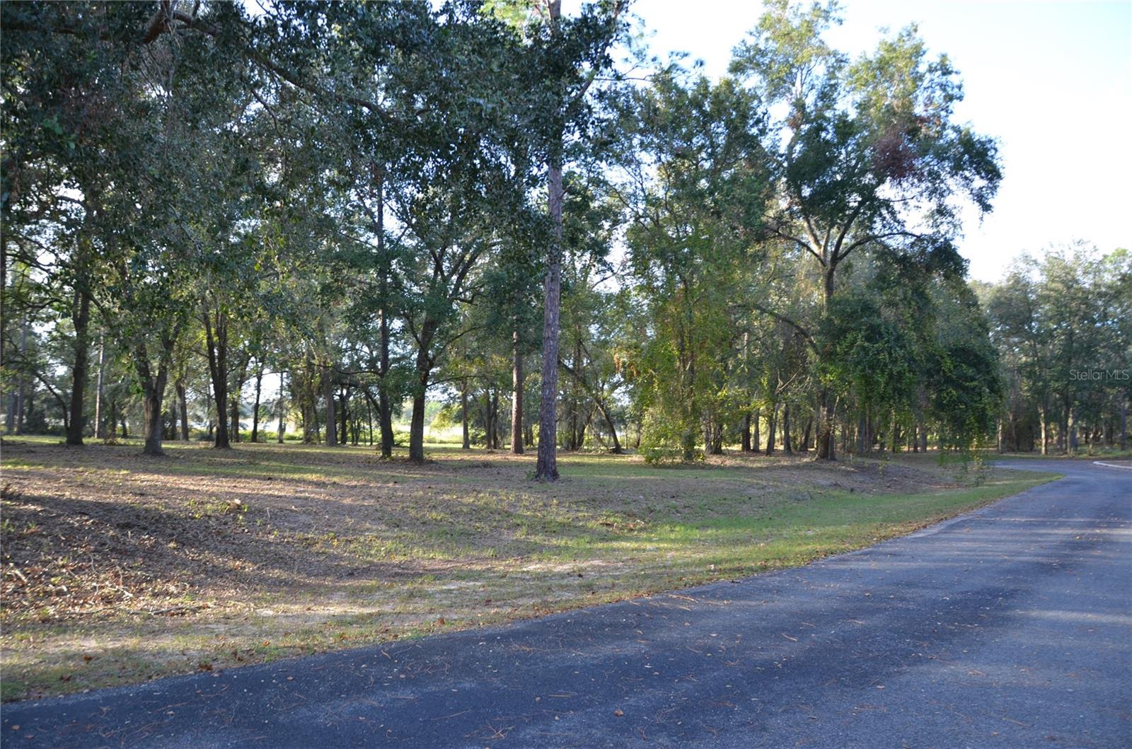 BONSMARA DR, LEESBURG, FL, 34748