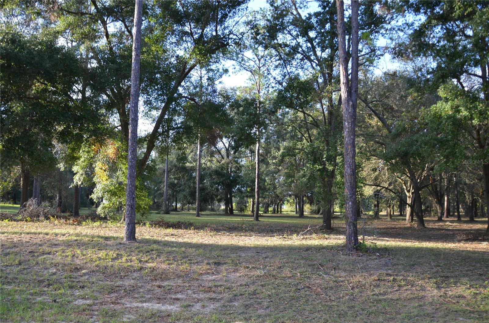 BONSMARA DR, LEESBURG, FL, 34748