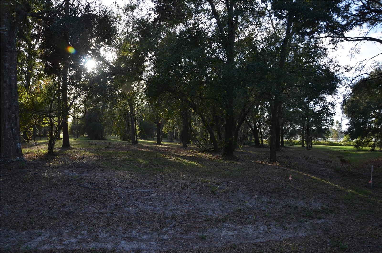 BONSMARA DR, LEESBURG, FL, 34748