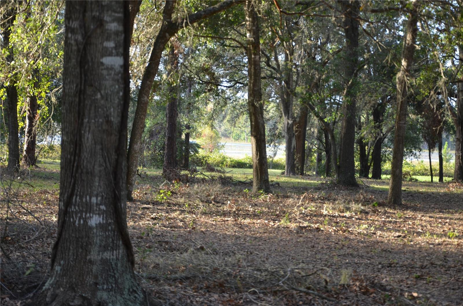 BONSMARA DR, LEESBURG, FL, 34748
