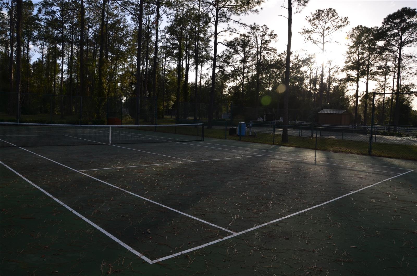 BONSMARA DR, LEESBURG, FL, 34748