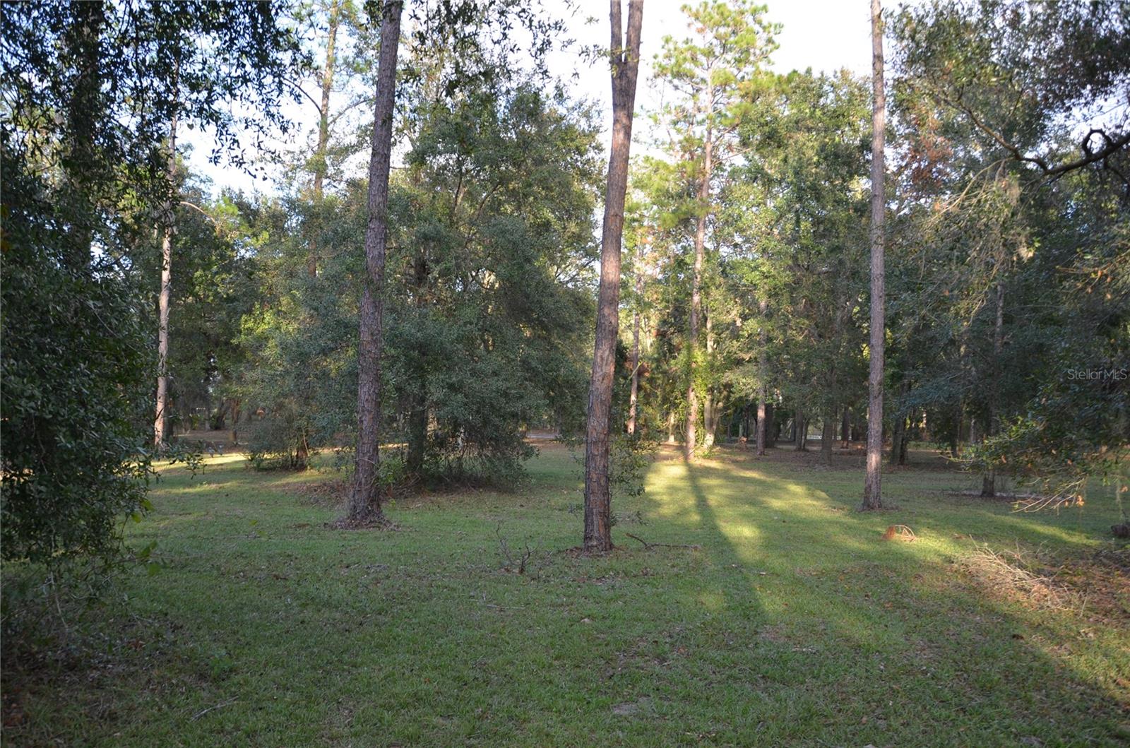 BONSMARA DR, LEESBURG, FL, 34748