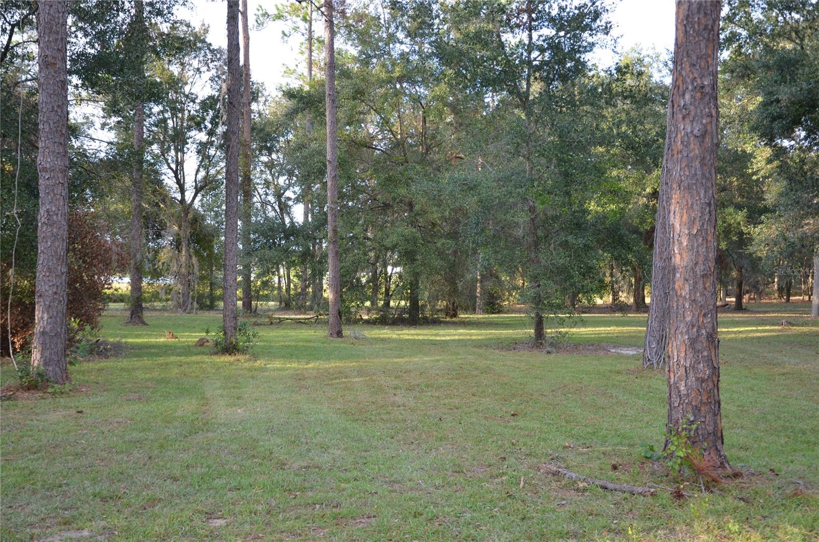 BONSMARA DR, LEESBURG, FL, 34748
