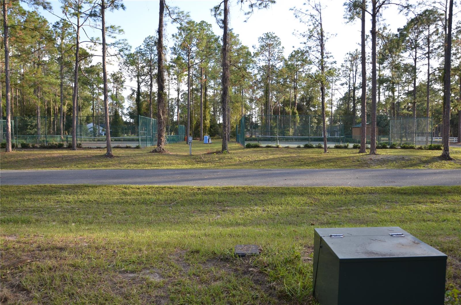 BONSMARA DR, LEESBURG, FL, 34748