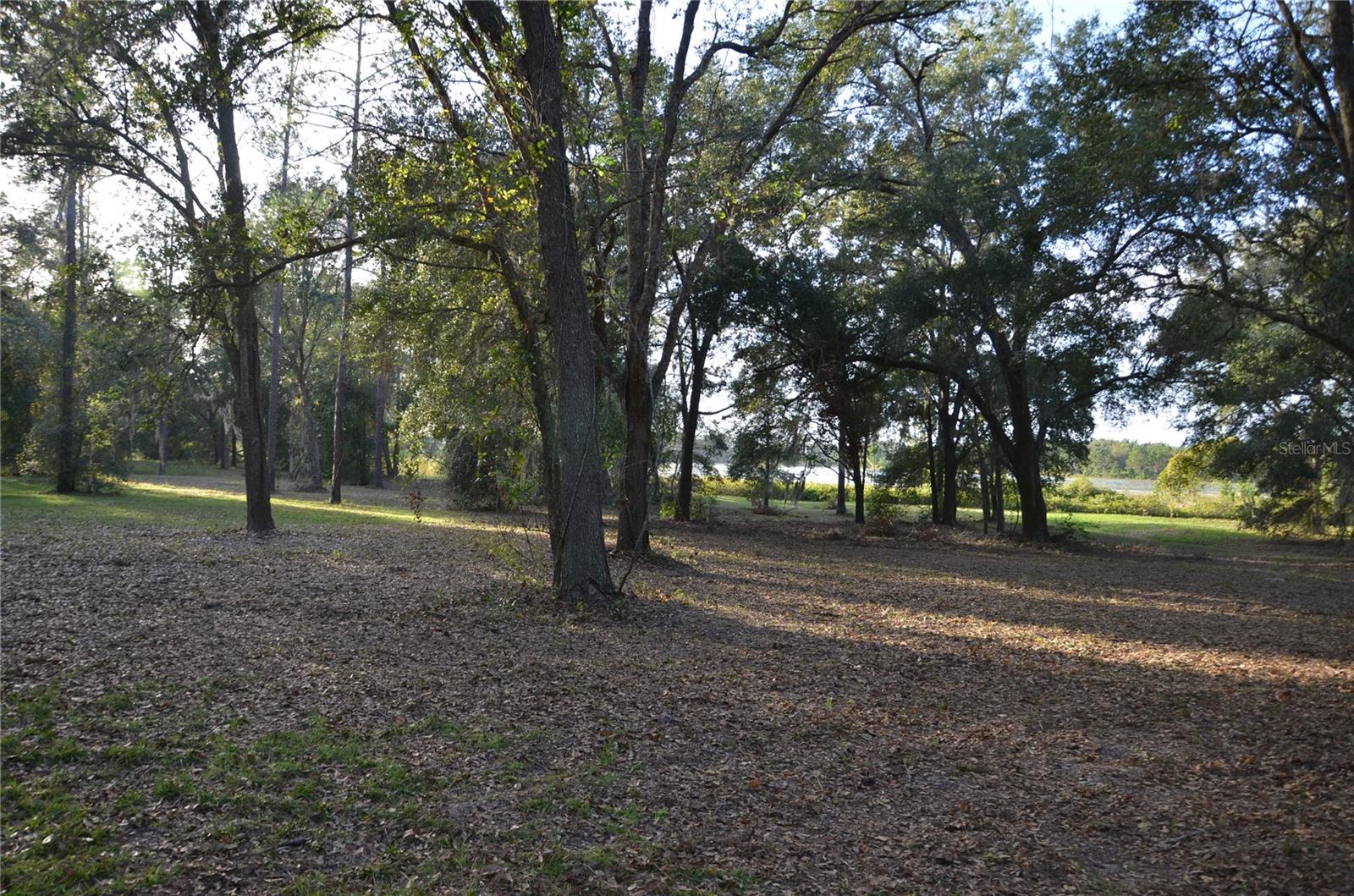 BONSMARA DR, LEESBURG, FL, 34748