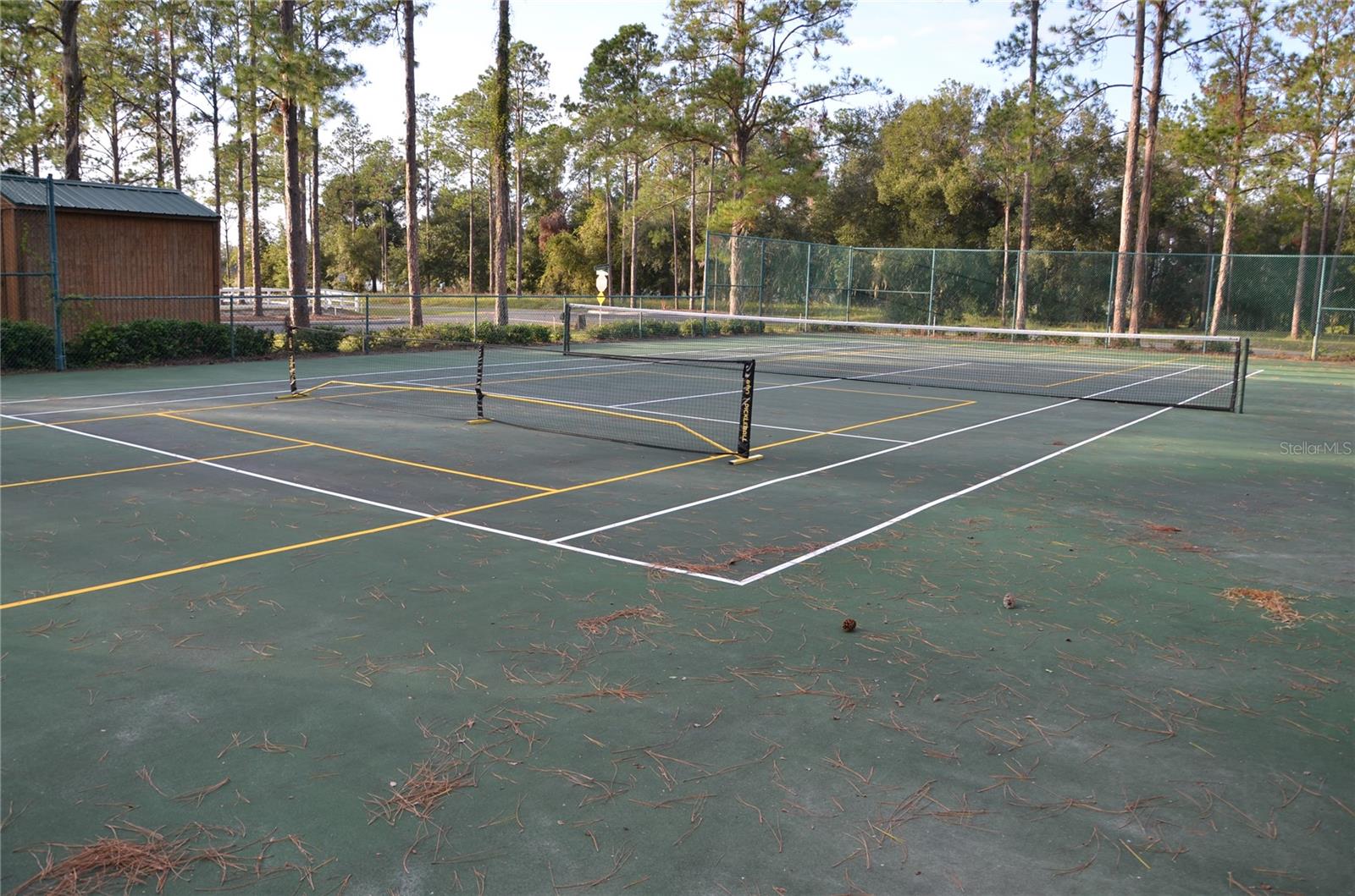 BONSMARA DR, LEESBURG, FL, 34748