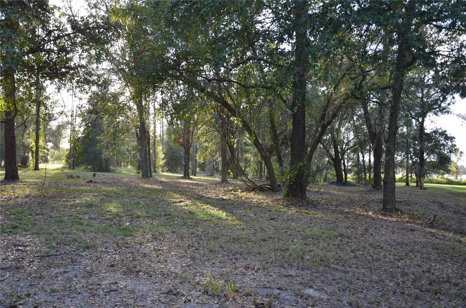BONSMARA DR, LEESBURG, FL, 34748