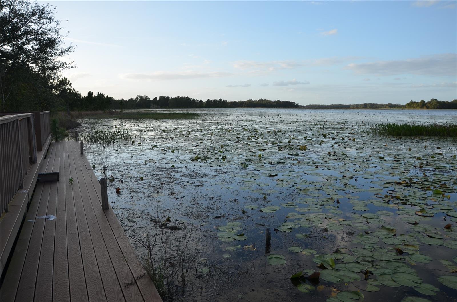 BONSMARA DR, LEESBURG, FL, 34748