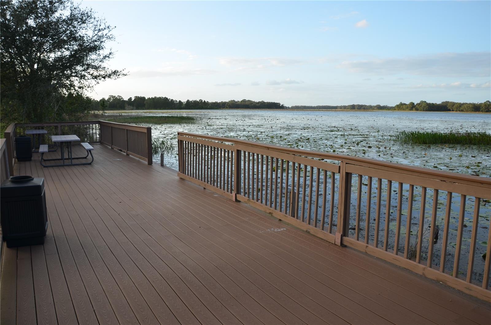 BONSMARA DR, LEESBURG, FL, 34748