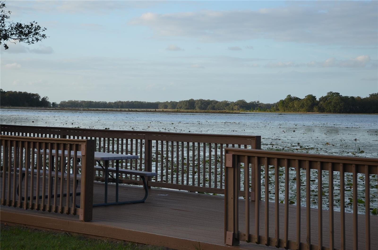 BONSMARA DR, LEESBURG, FL, 34748