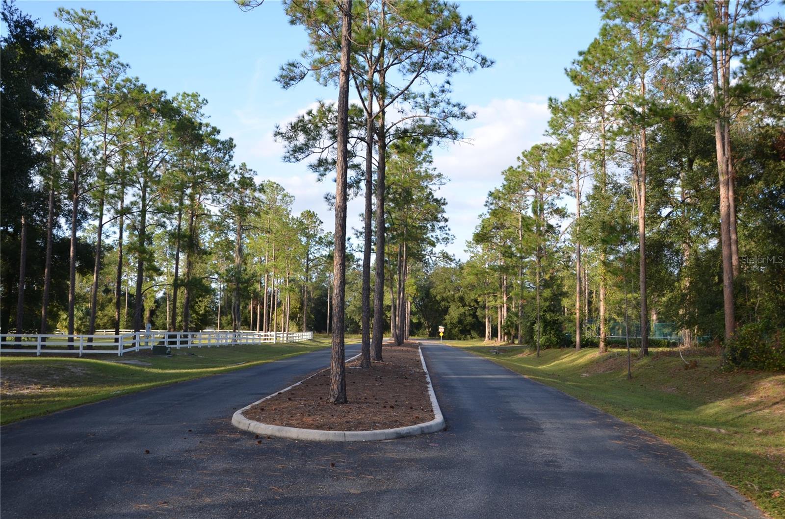 BONSMARA DR, LEESBURG, FL, 34748