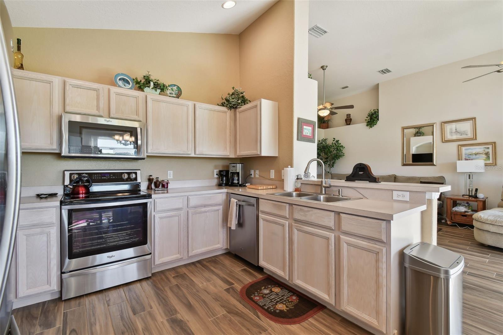 31330 SPOONFLOWER WAY, BROOKSVILLE, FL, 34602