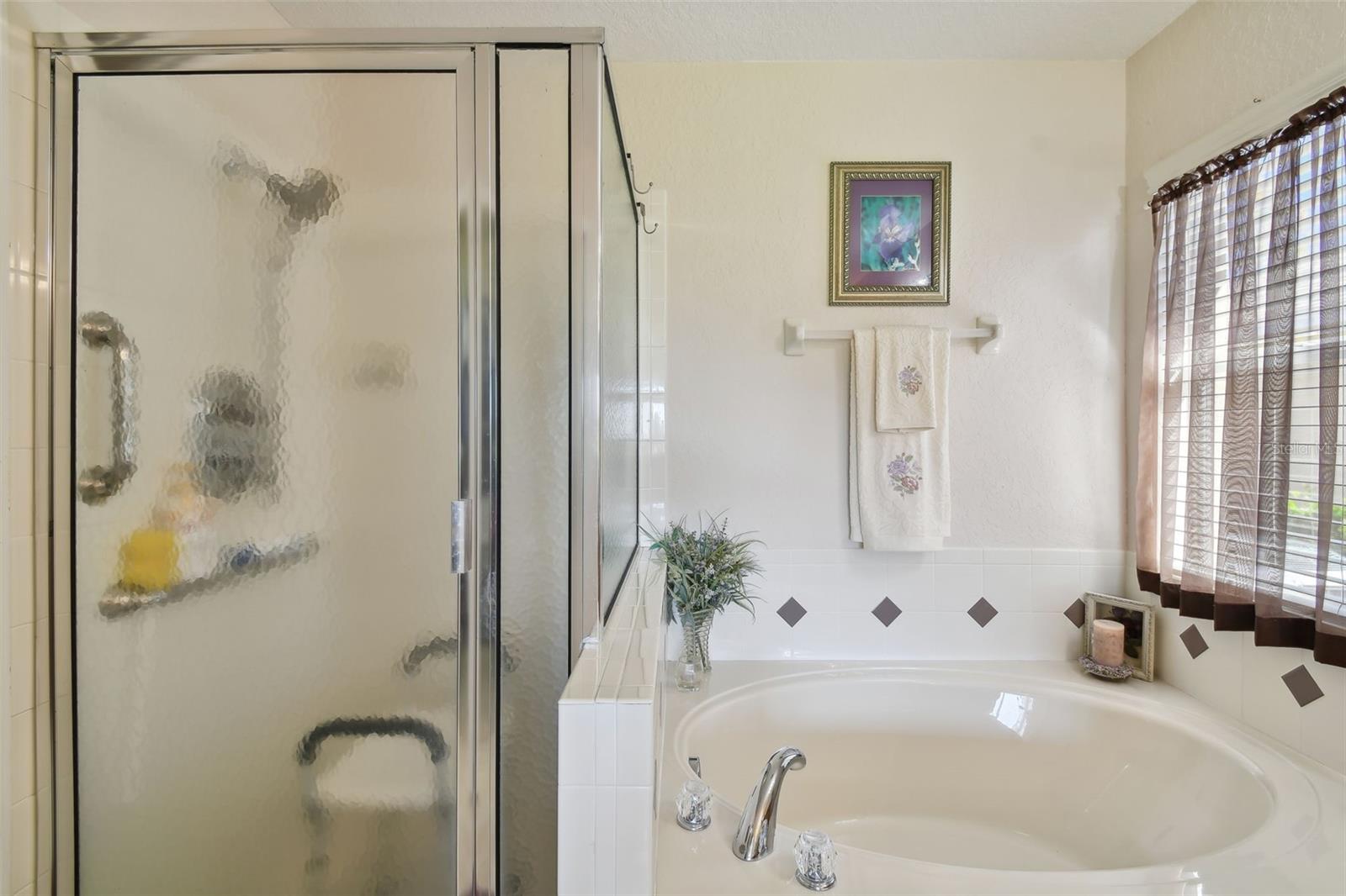 31330 SPOONFLOWER WAY, BROOKSVILLE, FL, 34602