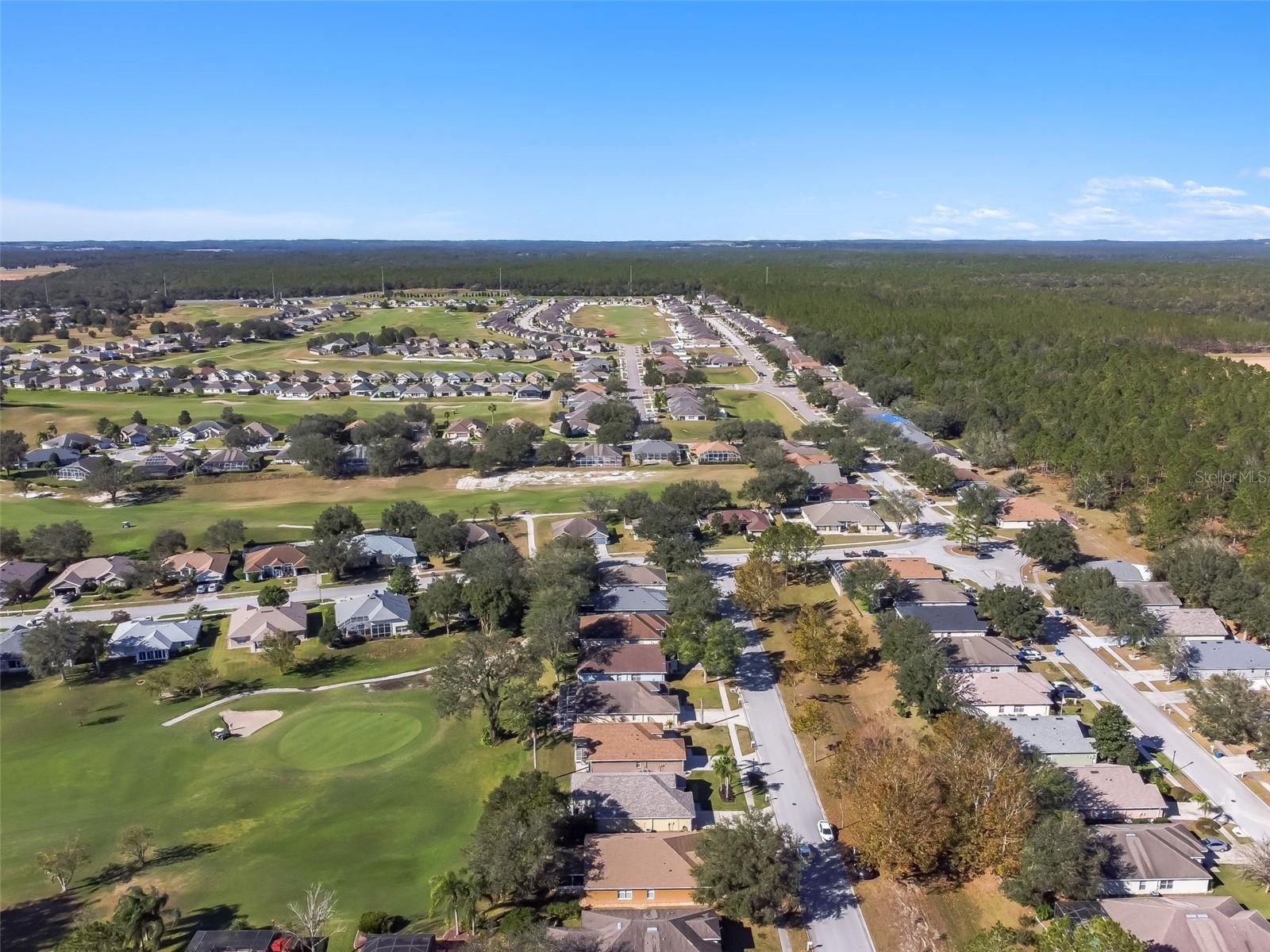 31330 SPOONFLOWER WAY, BROOKSVILLE, FL, 34602