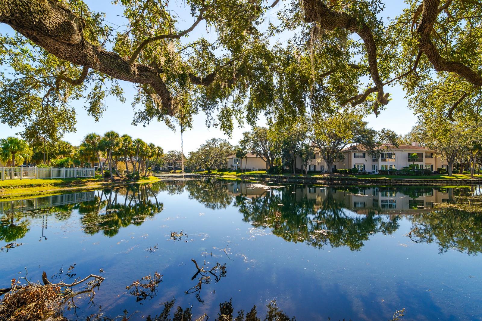 10396 CARROLLWOOD LN #27, TAMPA, FL, 33618