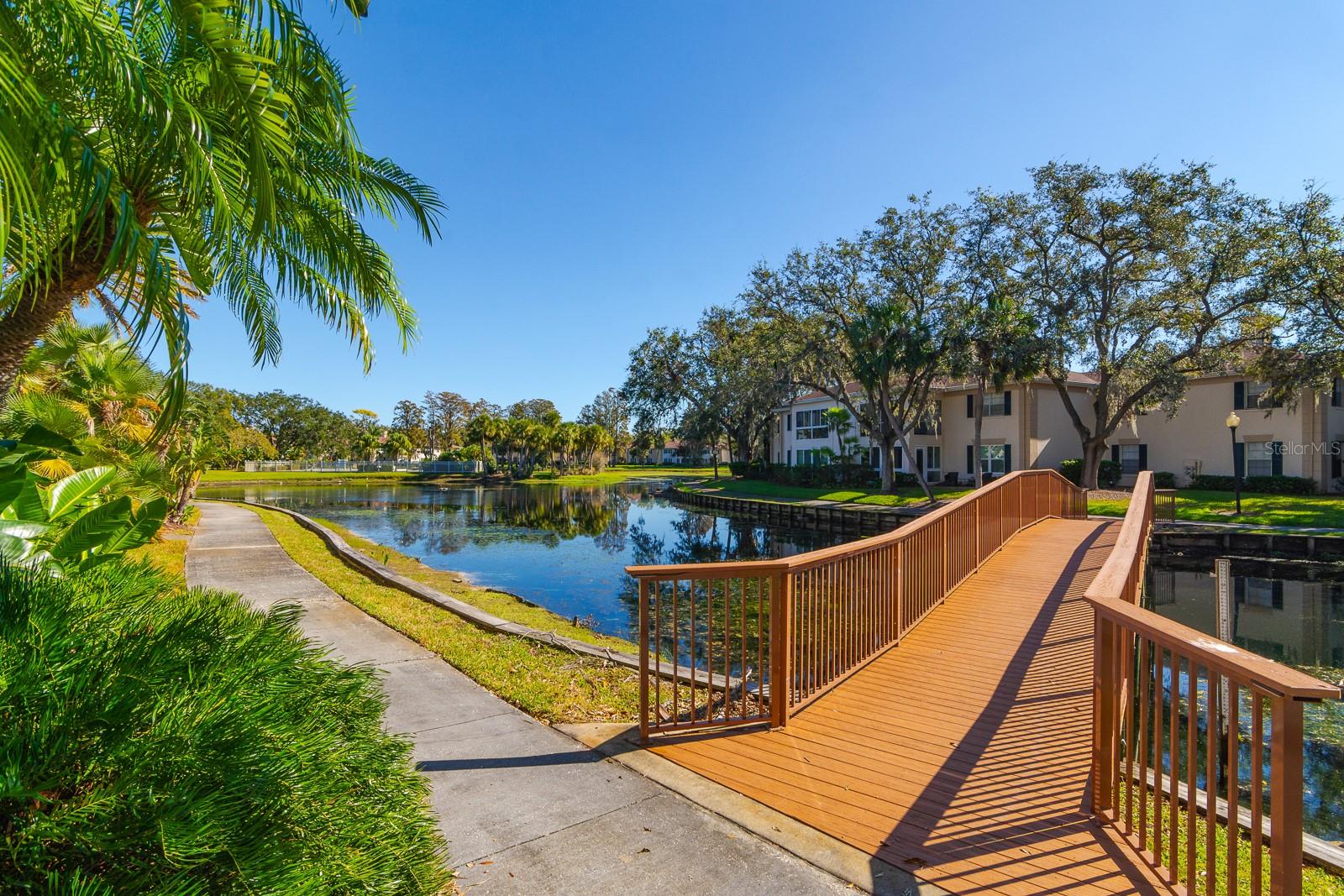10396 CARROLLWOOD LN #27, TAMPA, FL, 33618