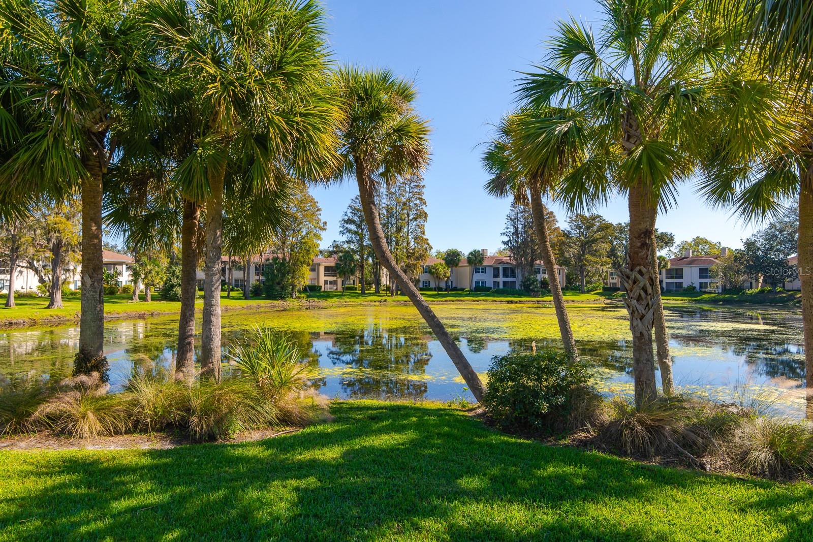 10396 CARROLLWOOD LN #27, TAMPA, FL, 33618