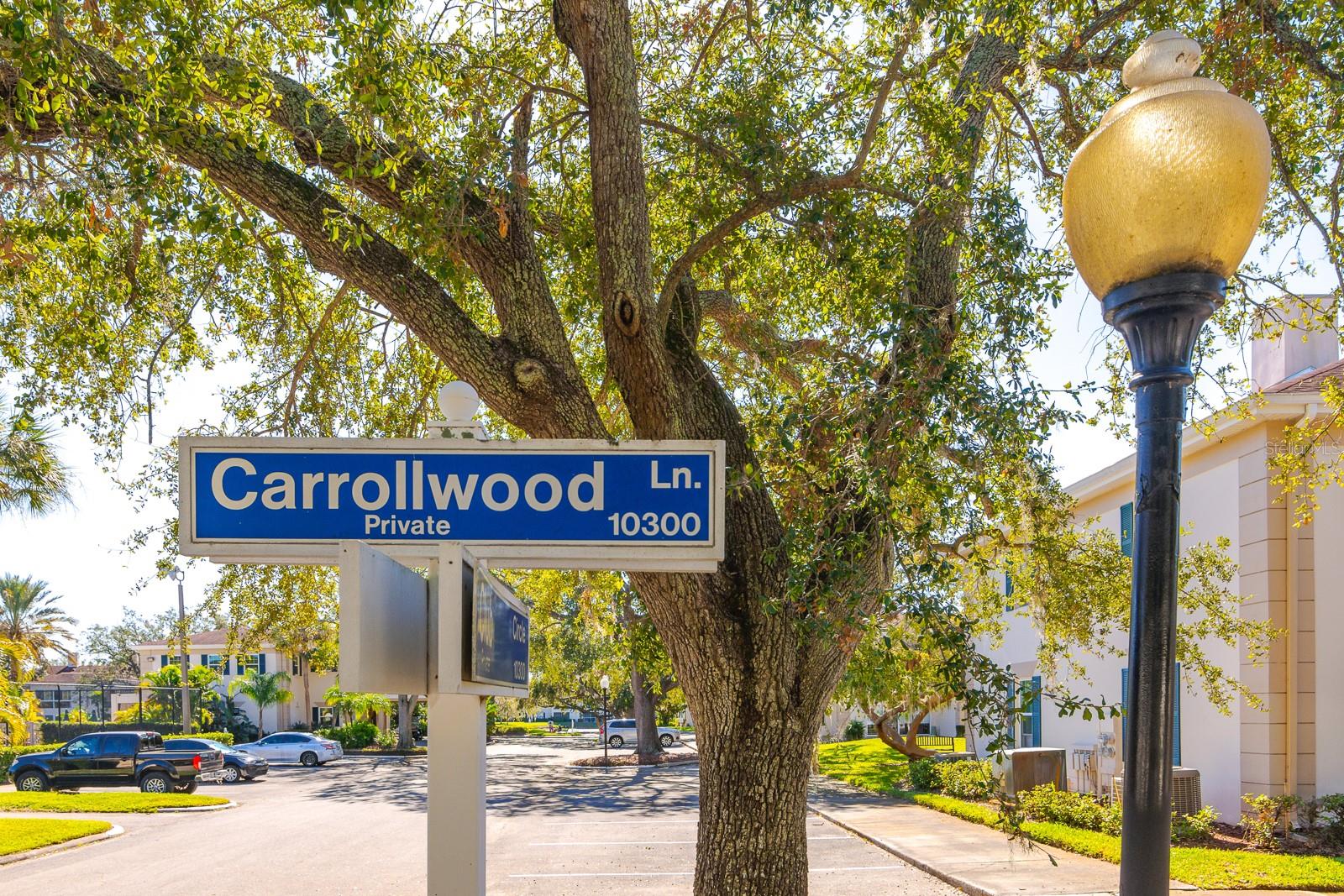 10396 CARROLLWOOD LN #27, TAMPA, FL, 33618