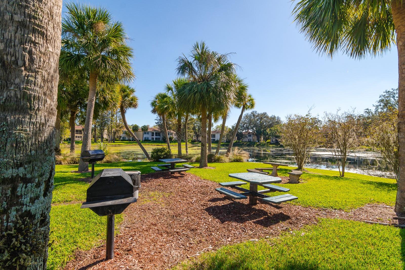 10396 CARROLLWOOD LN #27, TAMPA, FL, 33618