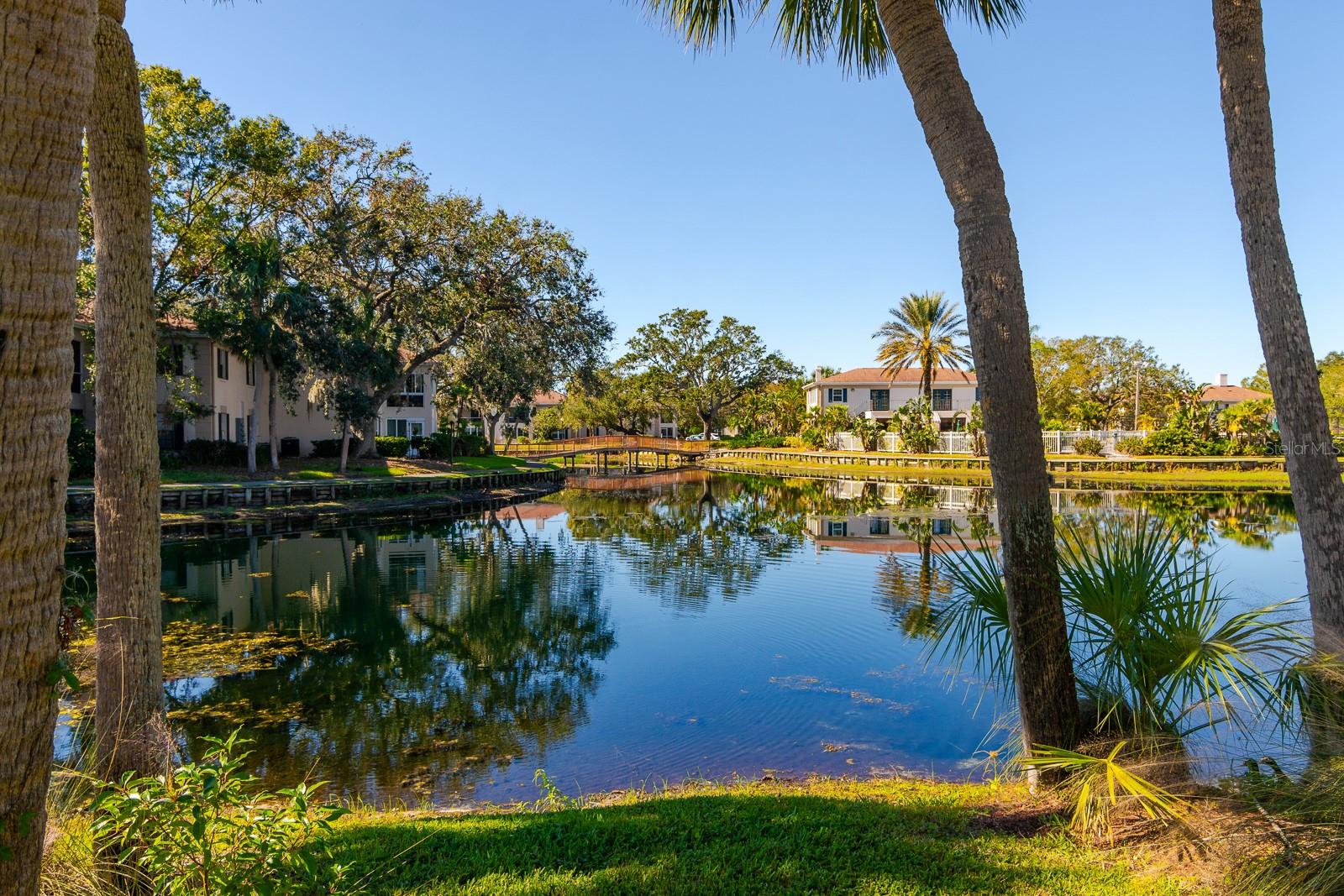 10396 CARROLLWOOD LN #27, TAMPA, FL, 33618