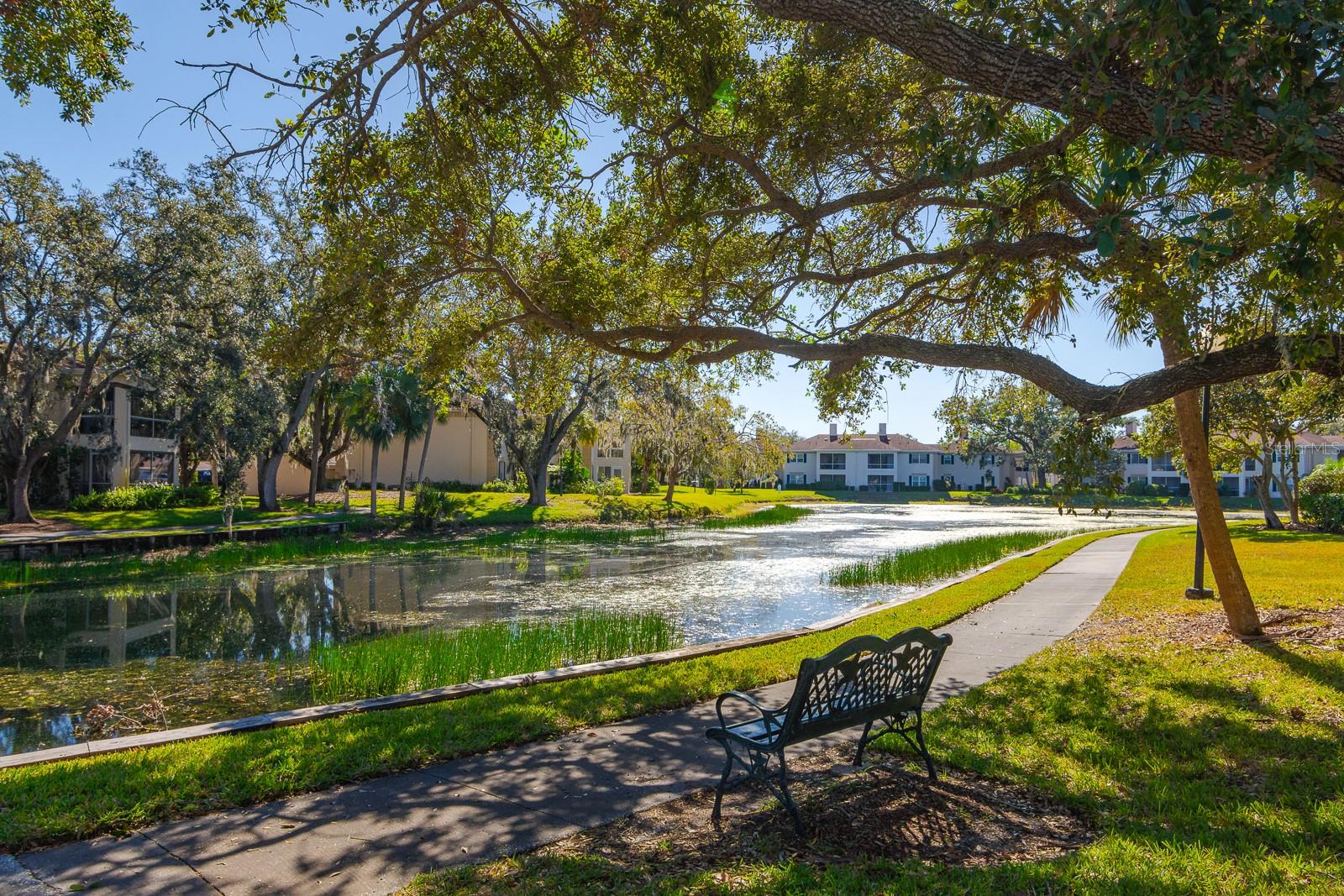10396 CARROLLWOOD LN #27, TAMPA, FL, 33618