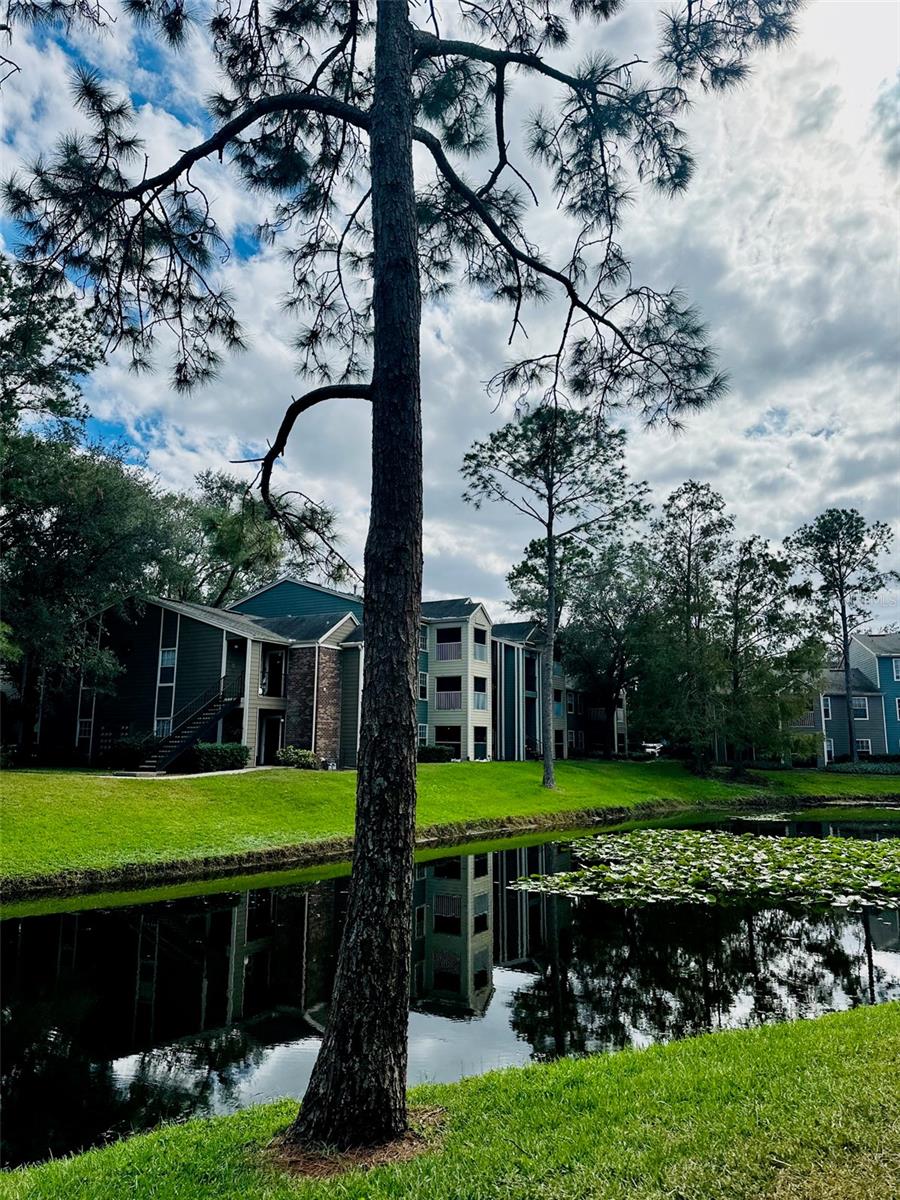 2214 METROPOLITAN WAY #210, ORLANDO, FL, 32839