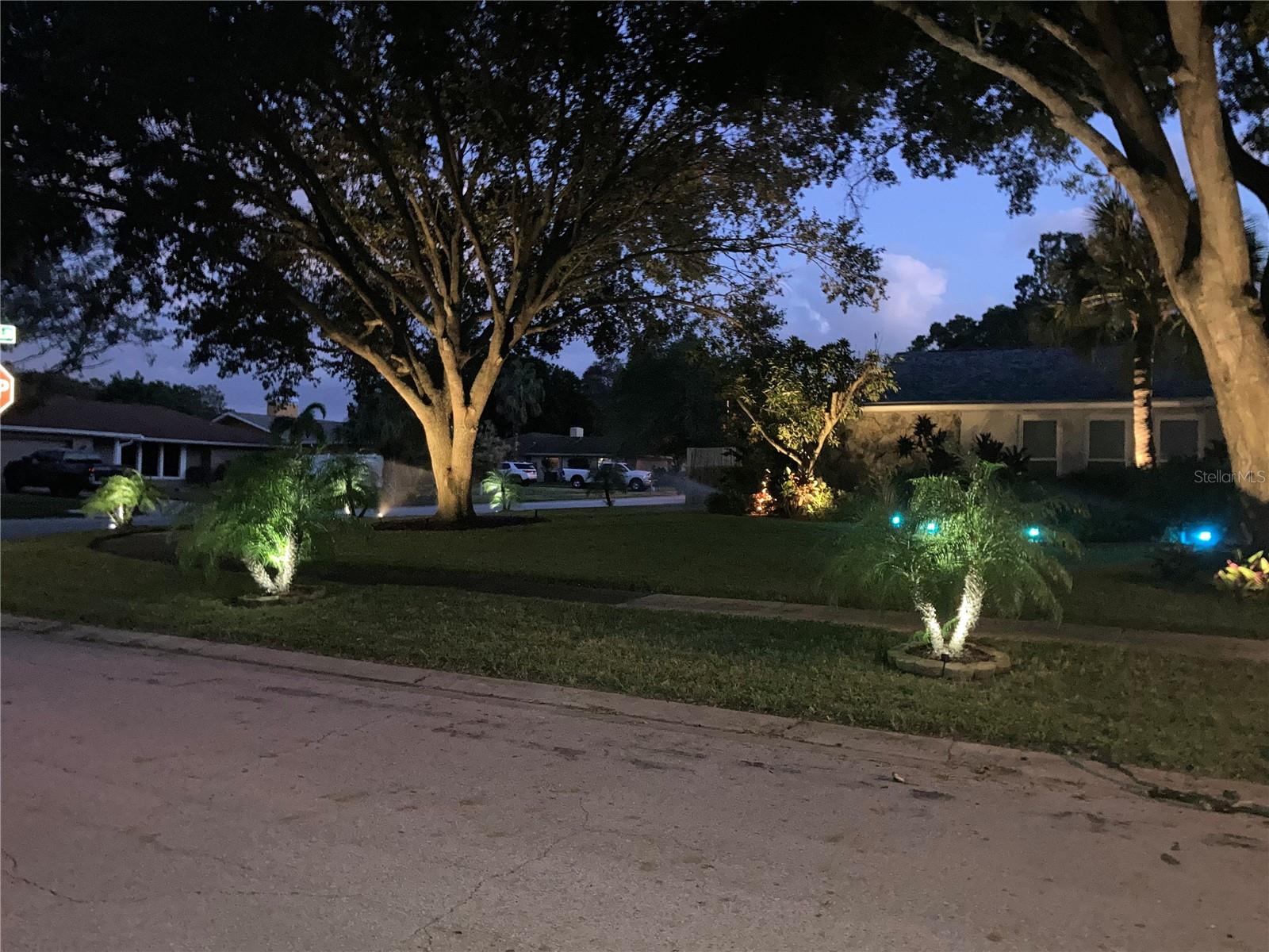690 WILD OAK LN, PALM HARBOR, FL, 34683