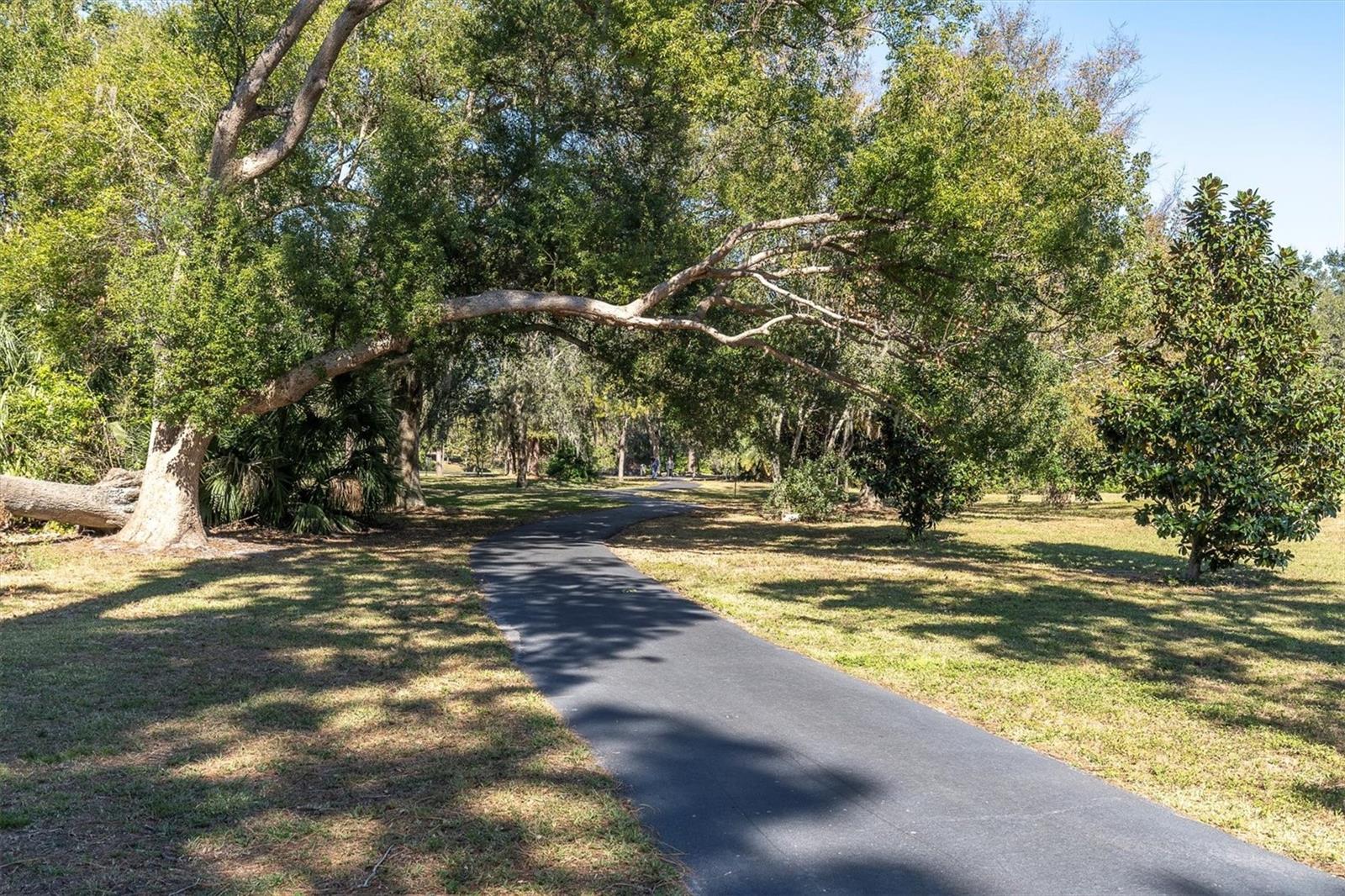 690 WILD OAK LN, PALM HARBOR, FL, 34683